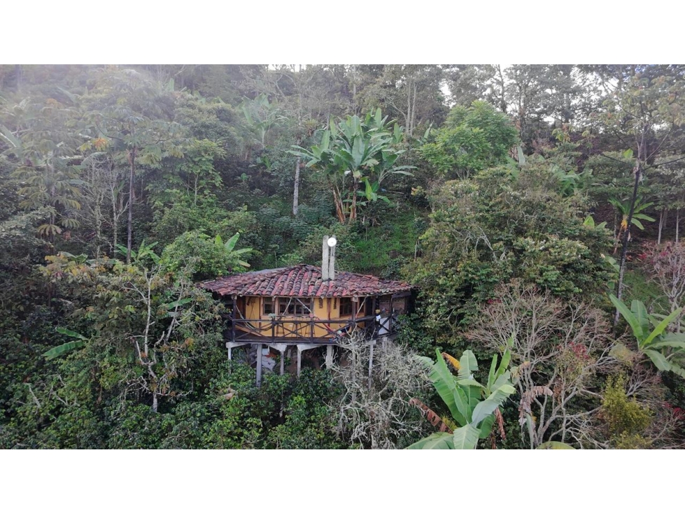 VENTA FINCA SALENTO QUINDIO COLOMBIA-3207746921 - 2