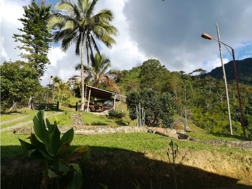 VENTA FINCA EN PIJAO QUINDIO, COLOMBIA CEL. 320 7746921 - 4