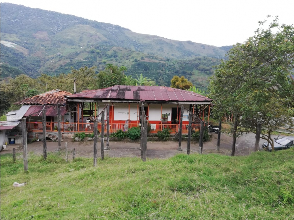 SE VENDE FINCA EN GENOVA - 2