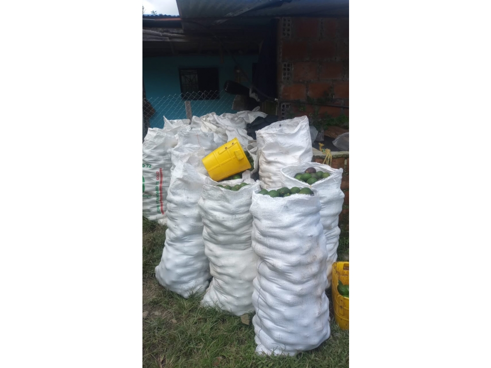 SE VENDE FINCA EN CAJAMARCA TOLIMA - 3