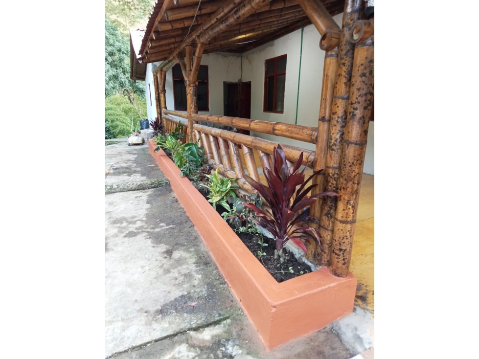 SE VENDE FINCA EN SEVILLA VALLE- COLOMBIA - 6