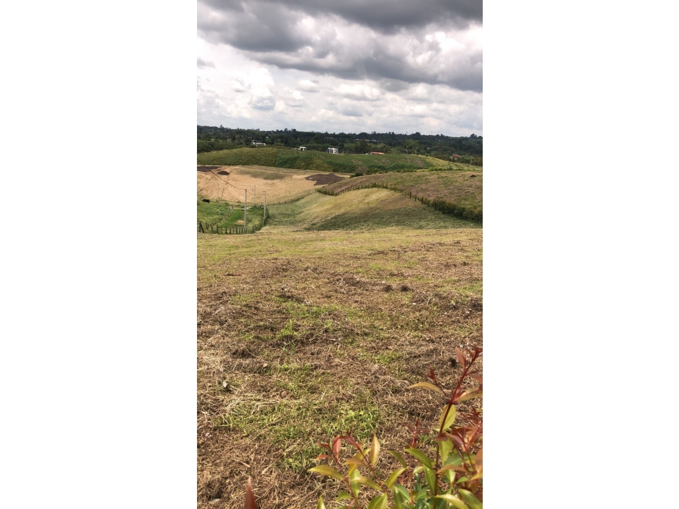 LOTE EN VENTA- HOJAS ANCHAS 3207746921 — foto 3