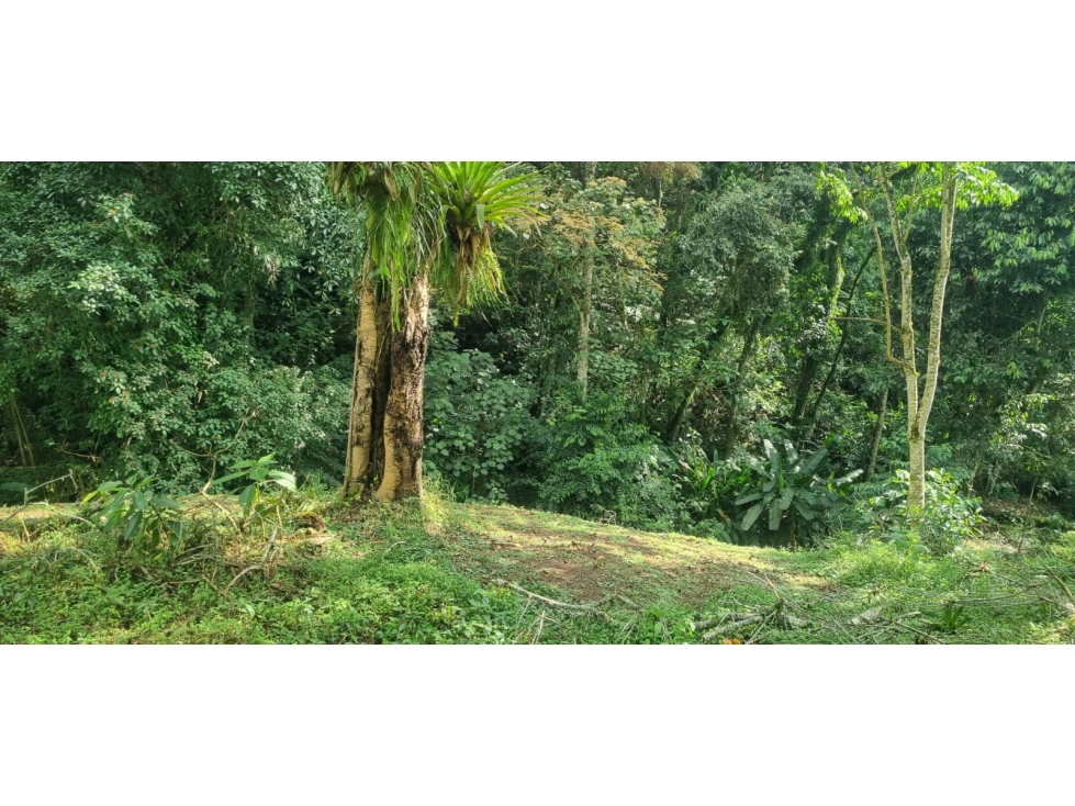 LOTE EN VENTA EN CIRCASIA QUINDIO. - 3