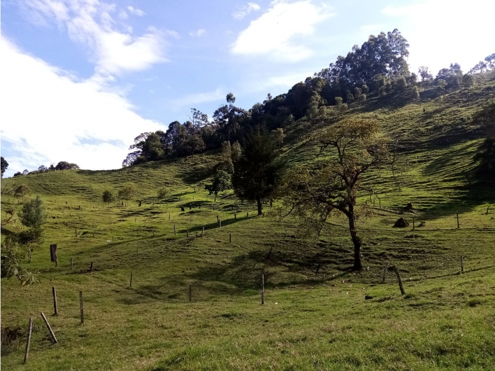 FINCA EN VENTA, GENOVA QUINDIO - 3