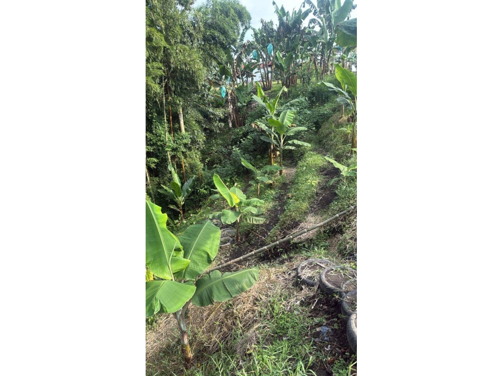 se vende lote Circasia Quindio — foto 3