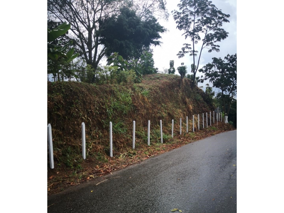 LOTE - 3