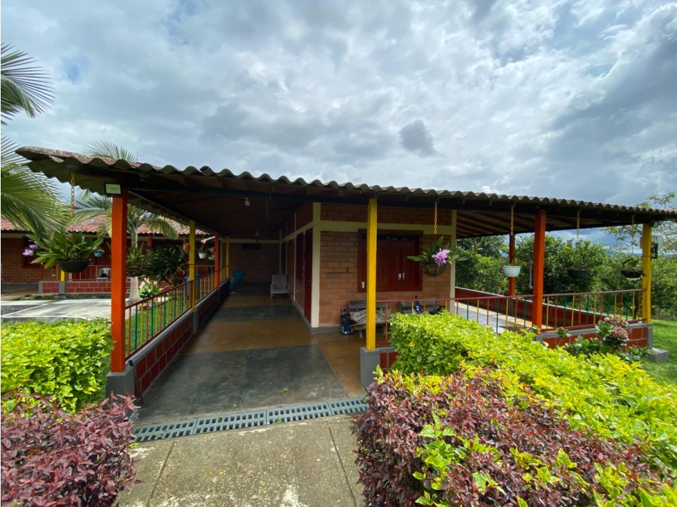 VENTA FINCA MONTENEGRO QUINDIO COLOMBIA 3207746921 — foto 3