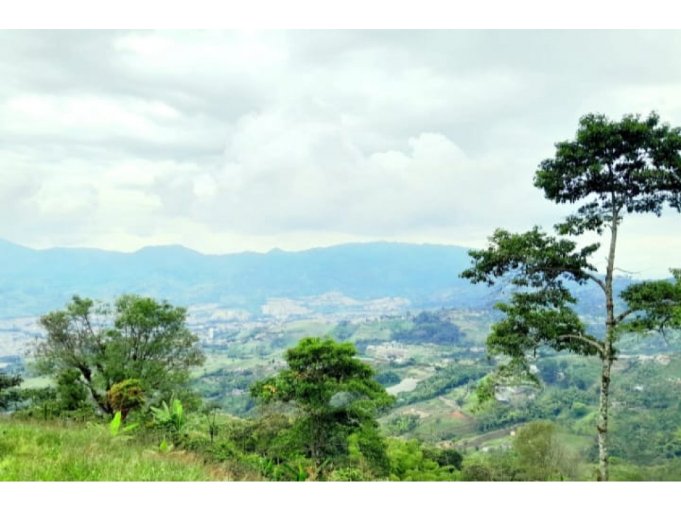 VENTA CASA FINCA PEREIRA DOSQUEBRADAS COLOMBIA 3207746921 — foto 6