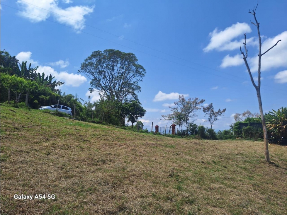 VENTA LOTE ENTRE ARMENIA Y CIRCASIA QUINDIO COLOMBIA 3207746921 — foto 4