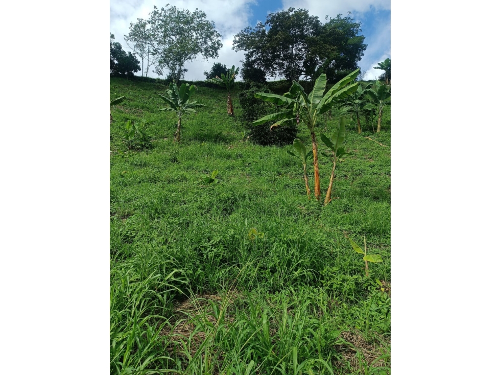 VENTA LOTE BUENAVISTA QUINDIO COLOMBIA-3207746921 - 3