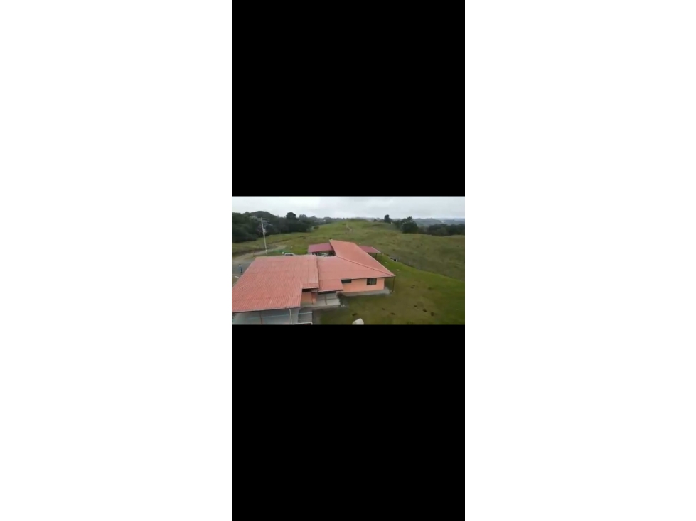 VENTA FINCA FILANDIA QUINDIO COLOMBIA 3162818031 — foto 3