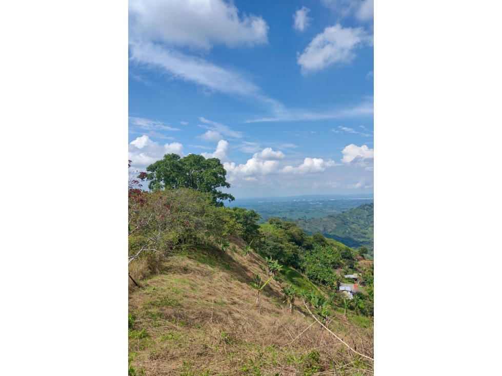 VENTA FINCA CORDOBA QUINDIO COLOMBIA 3156194358 — foto 4