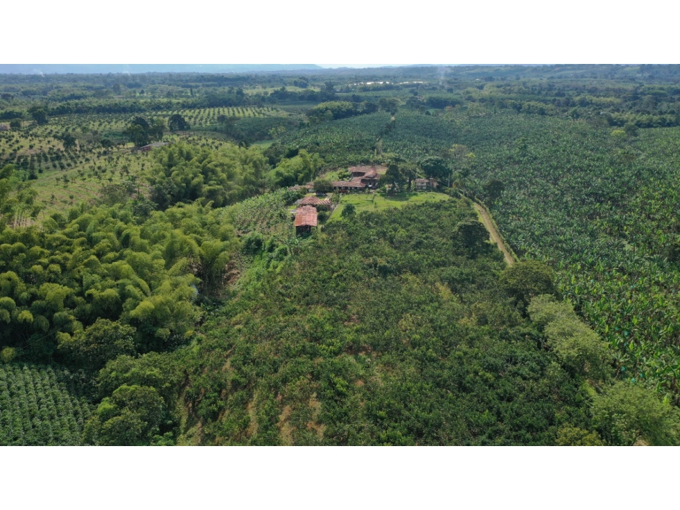 VENTA LOTE SUR ARMENIA QUINDIO, COLOMBIA. CEL. 320 7746921