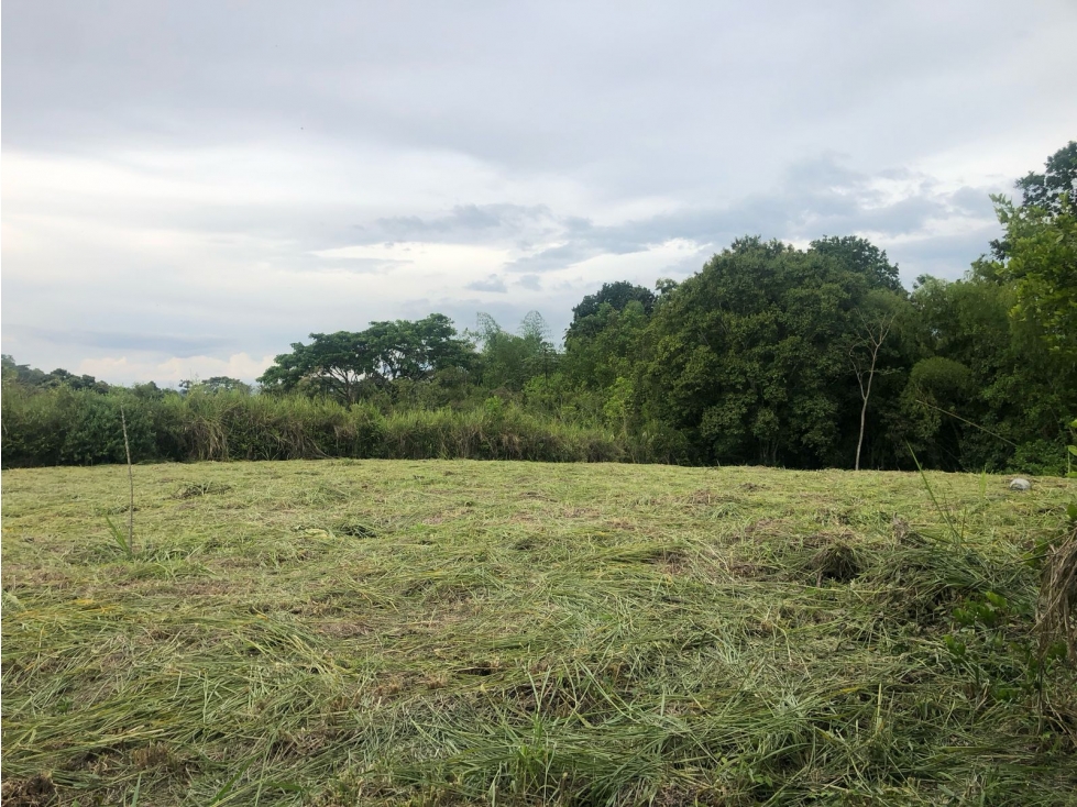 SE VENDE LOTE- LA TEBAIDA QUINDIO - 4