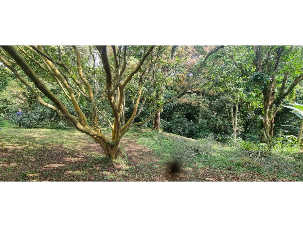 LOTE EN VENTA EN CIRCASIA QUINDIO. - 4