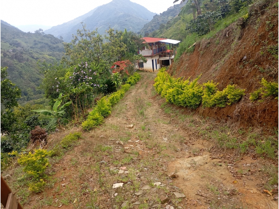 FINCA EN VENTA, CAICEDONIA VALLE - 2