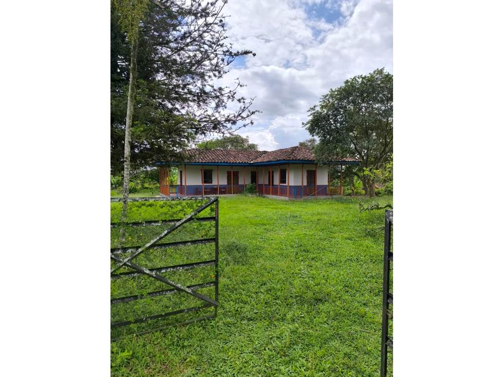 LOTE EN VENTA - VIA AL CAIMO QUINDIO