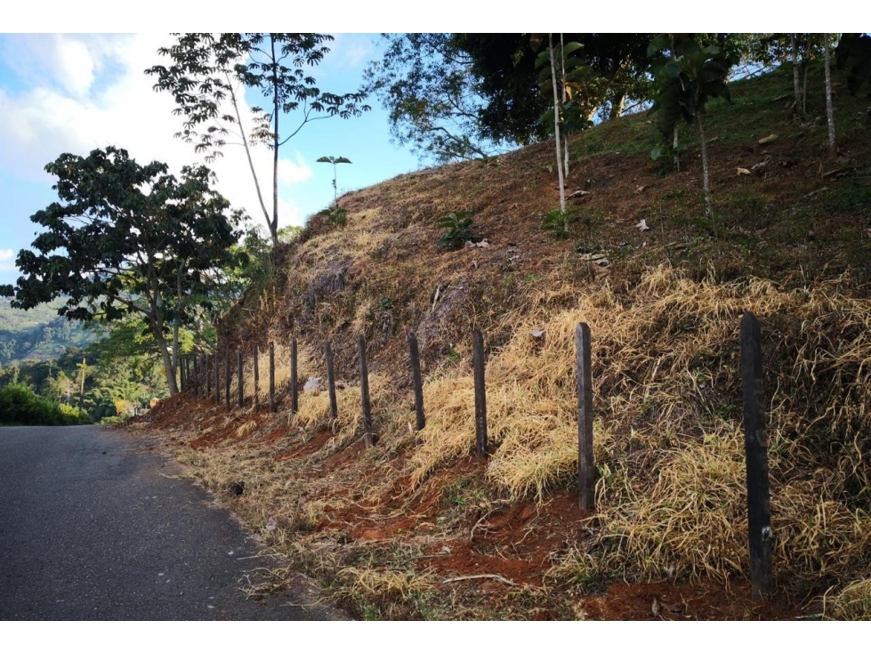LOTE - 4