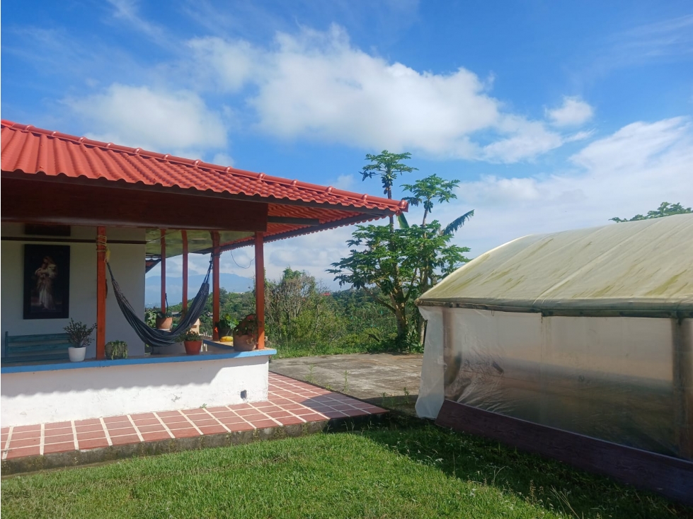 VENTA FINCA FILANDIA QUINDIO COLOMBIA 3207746921 — foto 3