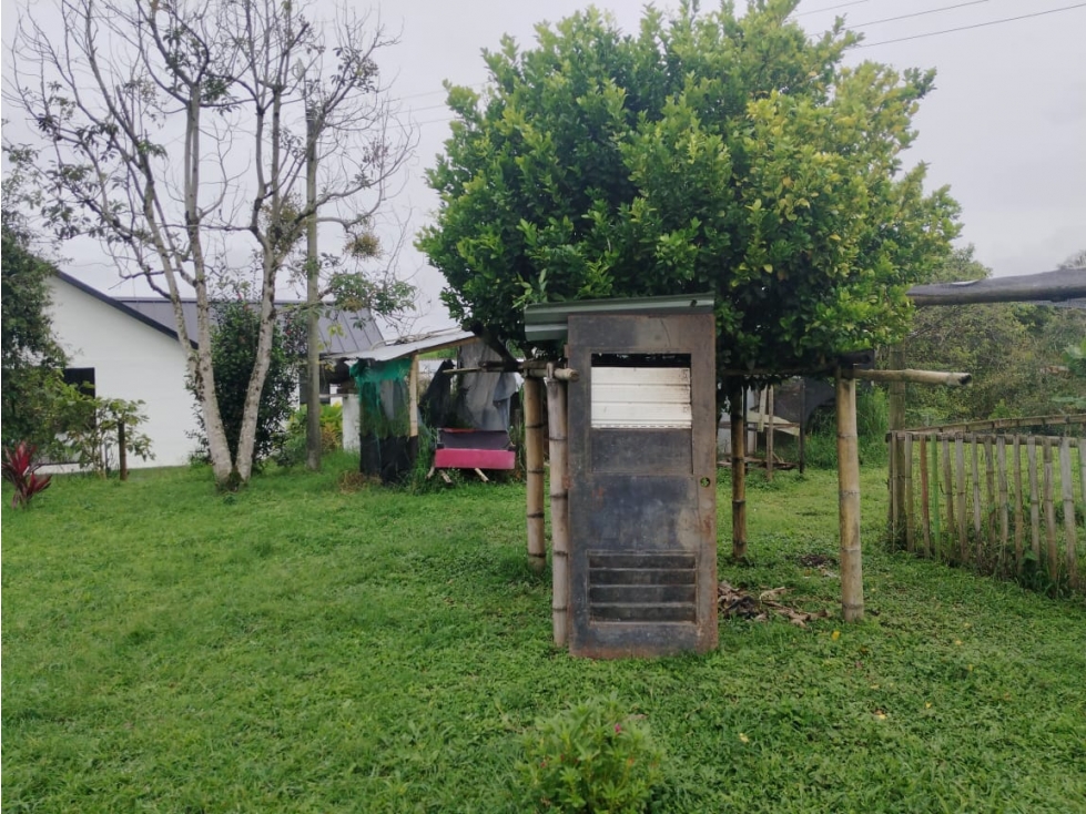 VENTA FINCA FILANDIA QUINDIO COLOMBIA 3207746921 — foto 4