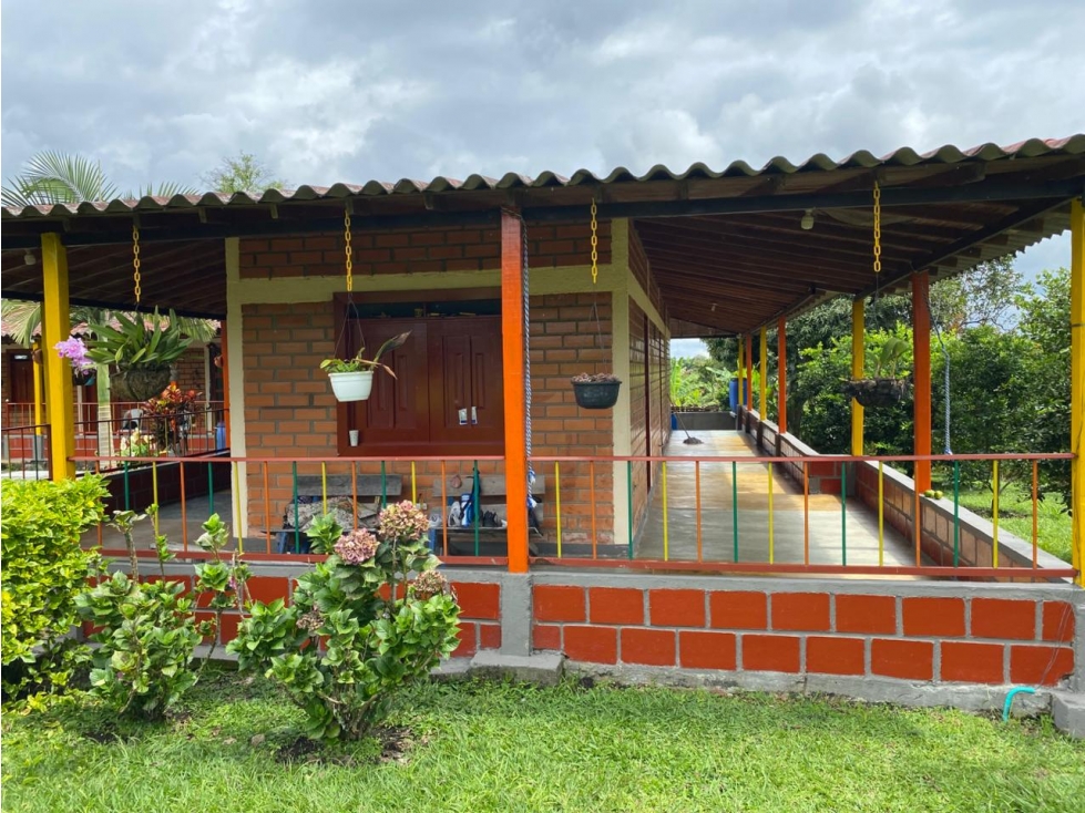 VENTA FINCA MONTENEGRO QUINDIO COLOMBIA 3207746921 — foto 4