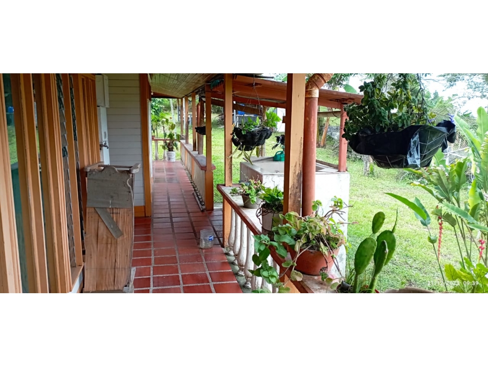 VENTA FINCA EN CIRCASIA QUINDIO COLOMBIA-3207746921 — foto 5