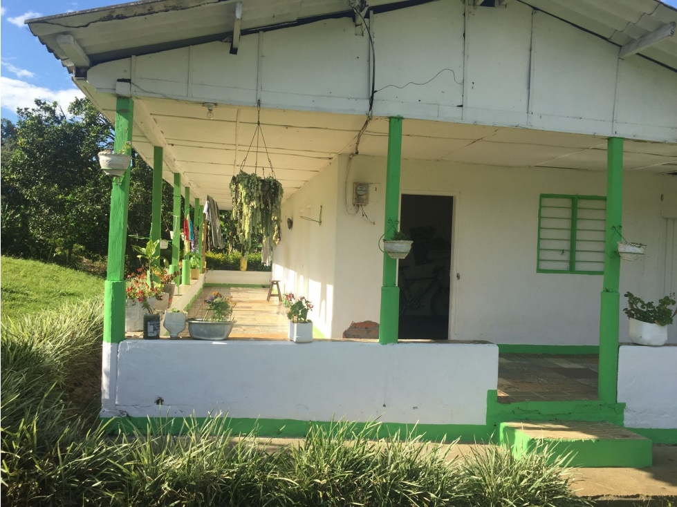 VENTA FINCA CAICEDONIA VALLE COLOMBIA-3207746921 - 5