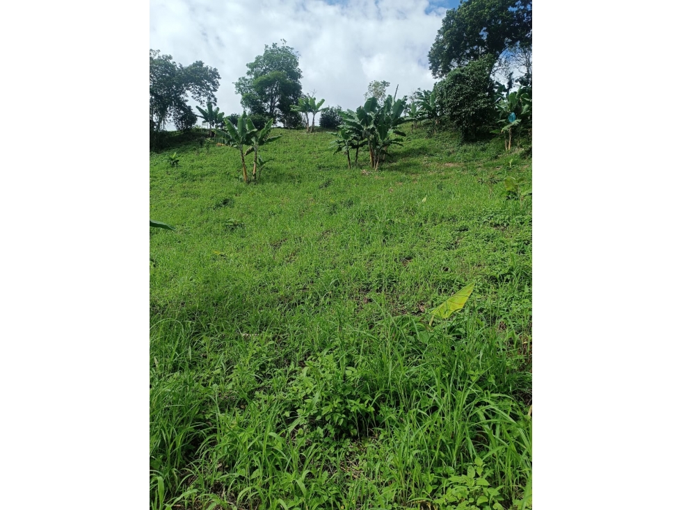 VENTA LOTE BUENAVISTA QUINDIO COLOMBIA-3207746921 - 4