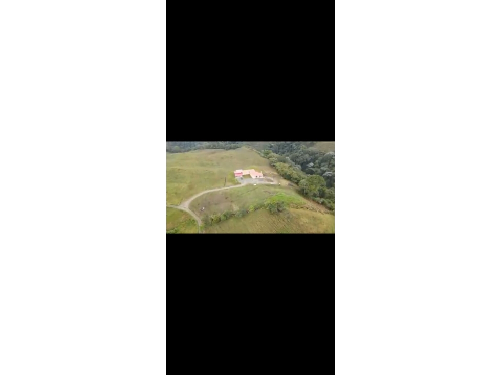 VENTA FINCA FILANDIA QUINDIO COLOMBIA 3162818031 — foto 4