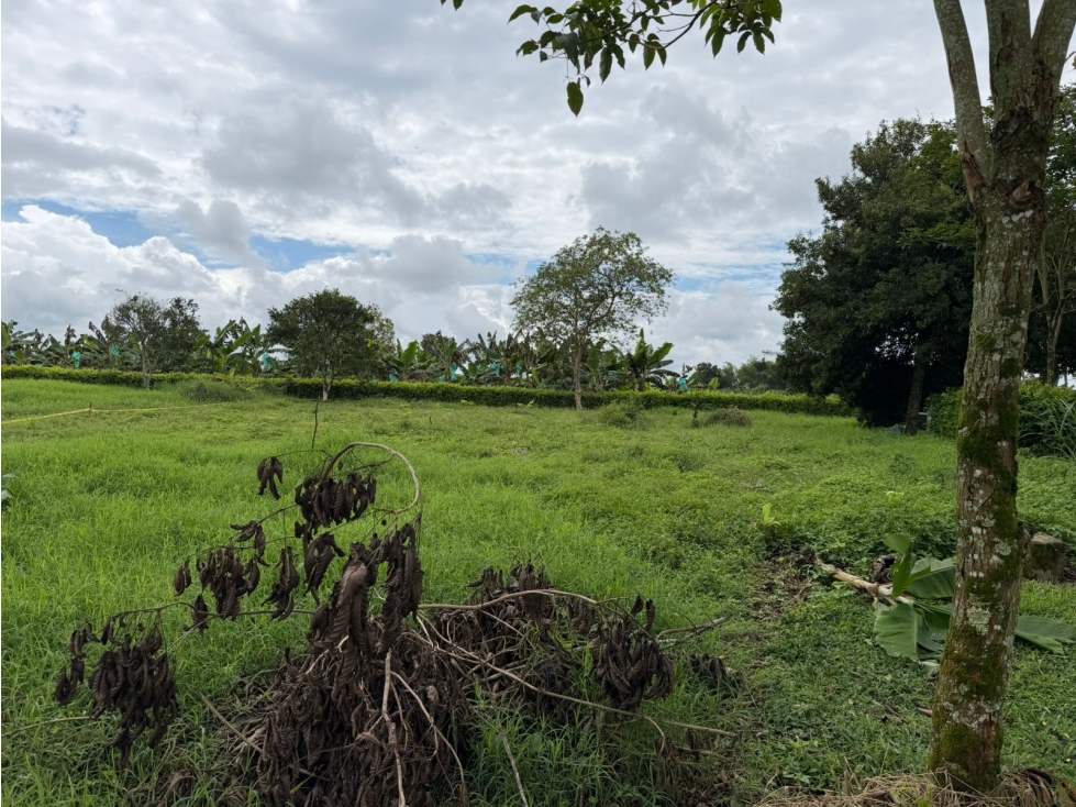 VENTA LOTE URBANO CAICEDONIA VALLE COLOMBIA 3156194358 - 2