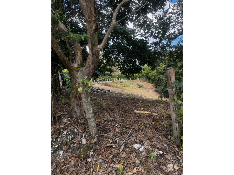 VENTA LOTE EN CONDOMINIO SALENTO QUINDIO COLOMBIA - 1