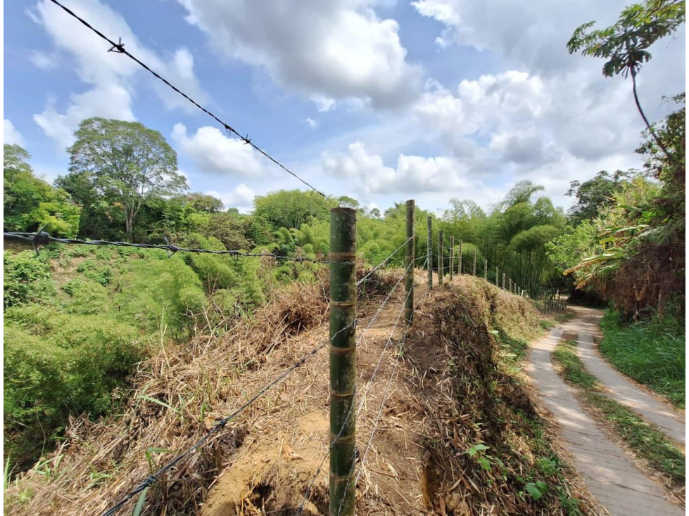 LOTE EN VENTA A SOLO 5 MINUTOS DE ARMENIA, Q, COLOMBIA. 3207746921 — foto 6