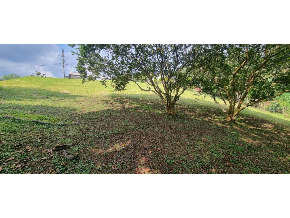 LOTE EN VENTA EN CIRCASIA QUINDIO. - 5