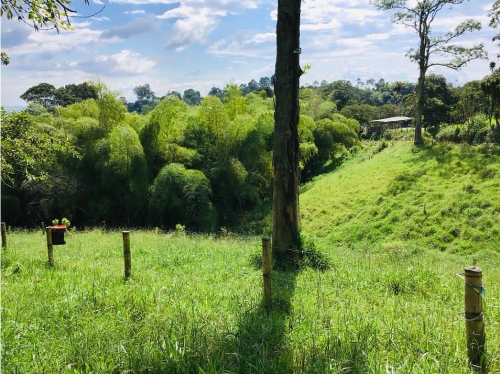 HERMOSA Y AMPLIA FINCA — foto 5