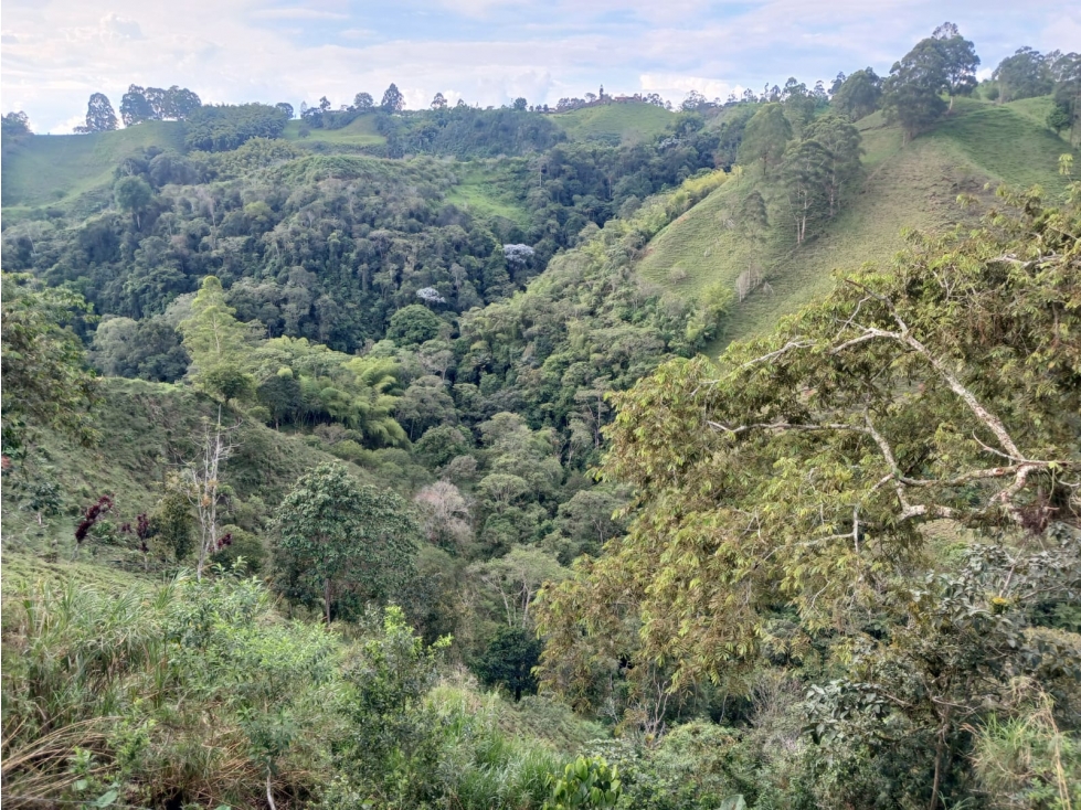 VENTA FINCA FILANDIA QUINDIO COLOMBIA 3207746921 — foto 5