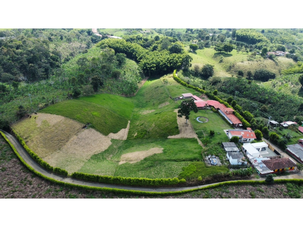 VENTA FINCA CIRCASIA QUINDIO COLOMBIA 3207746921 — foto 5