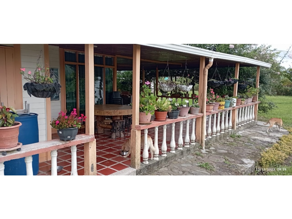 VENTA FINCA EN CIRCASIA QUINDIO COLOMBIA-3207746921 — foto 6