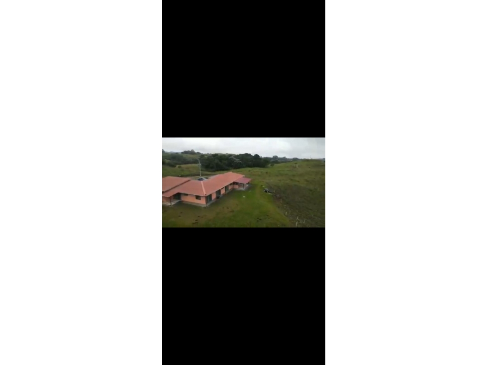 VENTA FINCA FILANDIA QUINDIO COLOMBIA 3162818031 — foto 5
