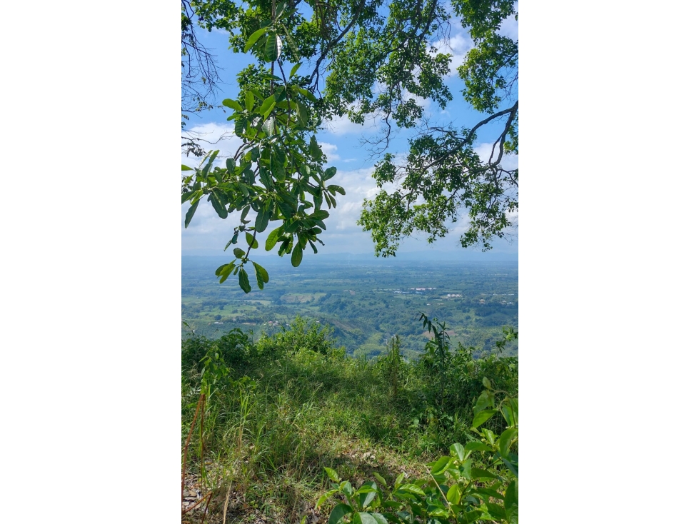 VENTA FINCA CORDOBA QUINDIO COLOMBIA 3156194358 — foto 5