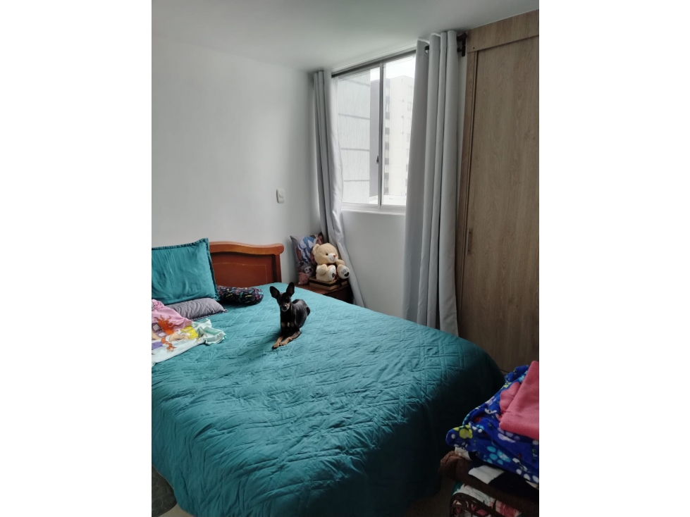 VENTA APARTAMENTO SUR ARMENIA QUINDIO COLOMBIA 3156194358 — foto 5