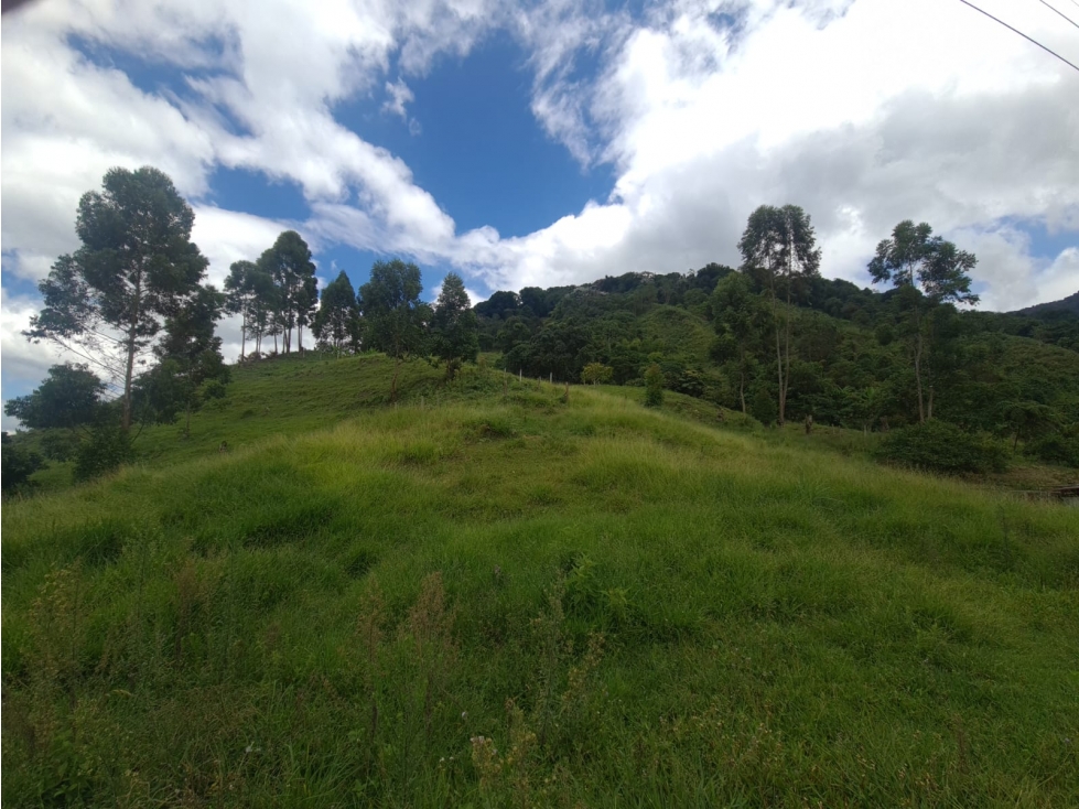 SE VENDE FINCA EN GENOVA QUINDIO COLOMBIA - 2