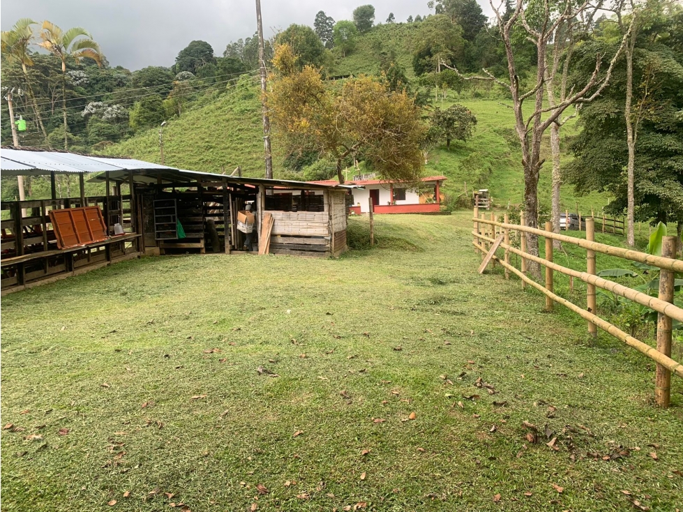 SE VENDE FINCA EN EL MUNICIPIO DE CORDOBA QUINDIO COLOMBIA - 2