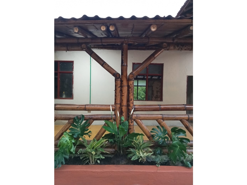 SE VENDE FINCA EN SEVILLA VALLE- COLOMBIA - 2