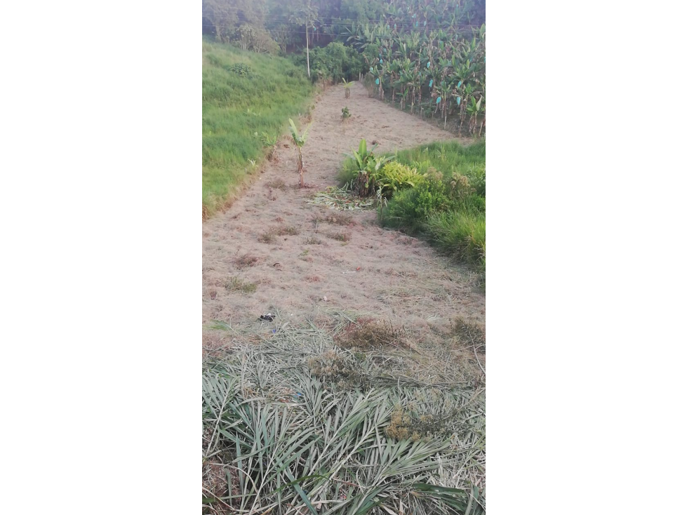 SE VENDE LOTE EN PUEBLO TAPAO-QUINDIO — foto 6