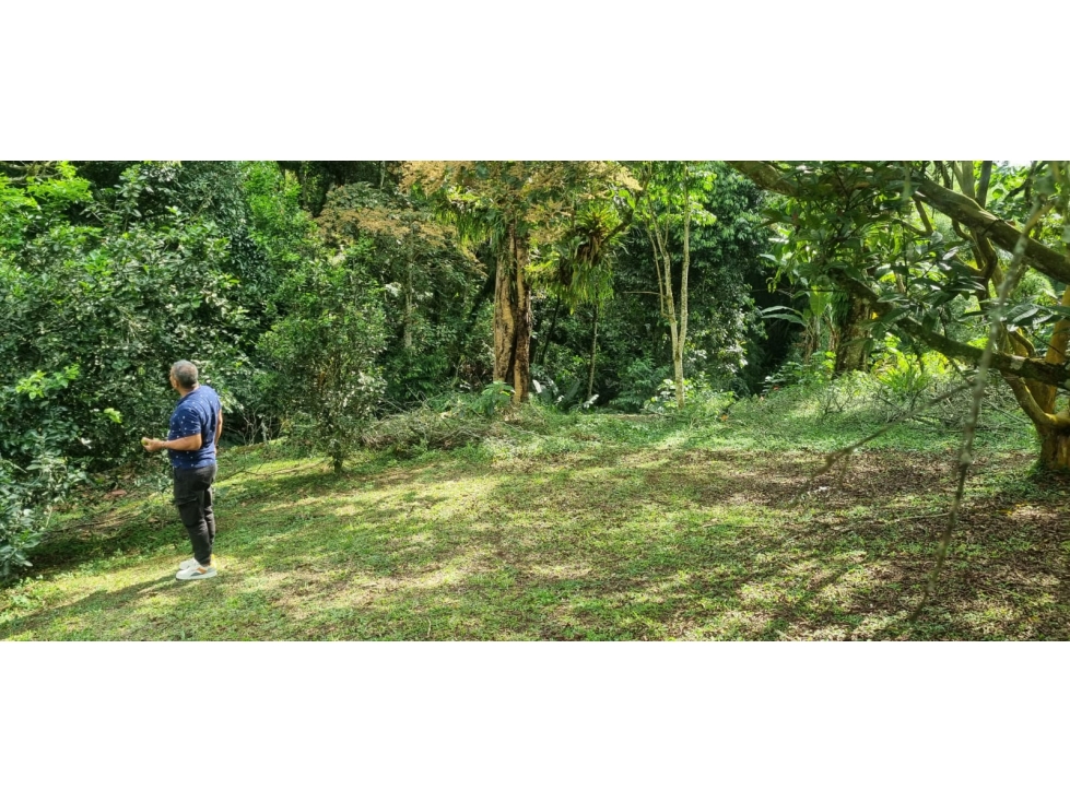 LOTE EN VENTA EN CIRCASIA QUINDIO. - 6