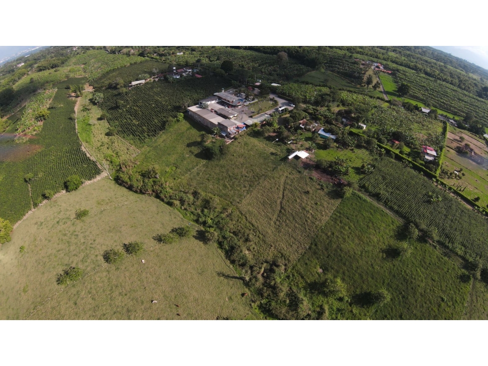 FINCA HOTEL VENTA PUEBLO TAPAO QUINDIO COLOMBIA 3207746921 - 6