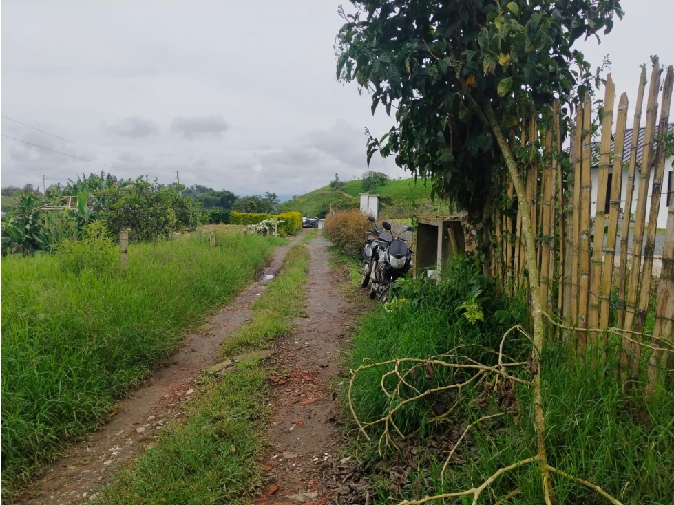 VENTA FINCA FILANDIA QUINDIO COLOMBIA 3207746921 — foto 6
