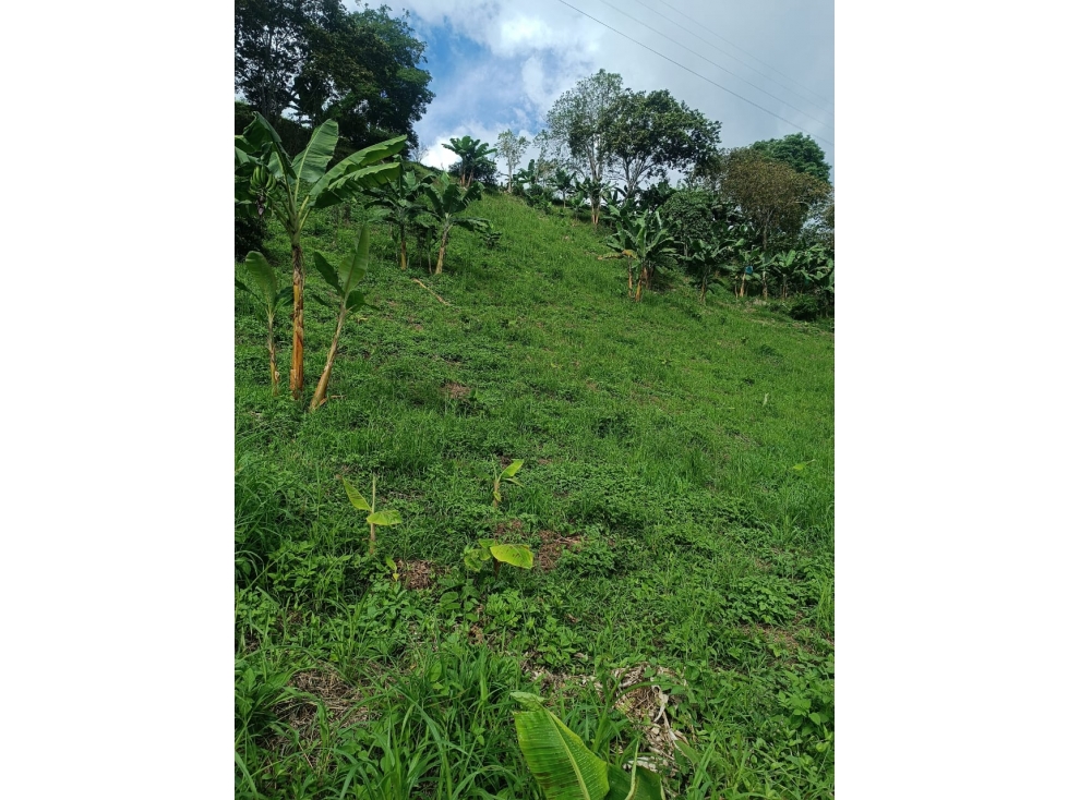 VENTA LOTE BUENAVISTA QUINDIO COLOMBIA-3207746921 - 6