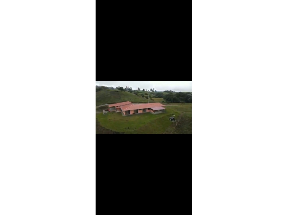 VENTA FINCA FILANDIA QUINDIO COLOMBIA 3162818031 — foto 6