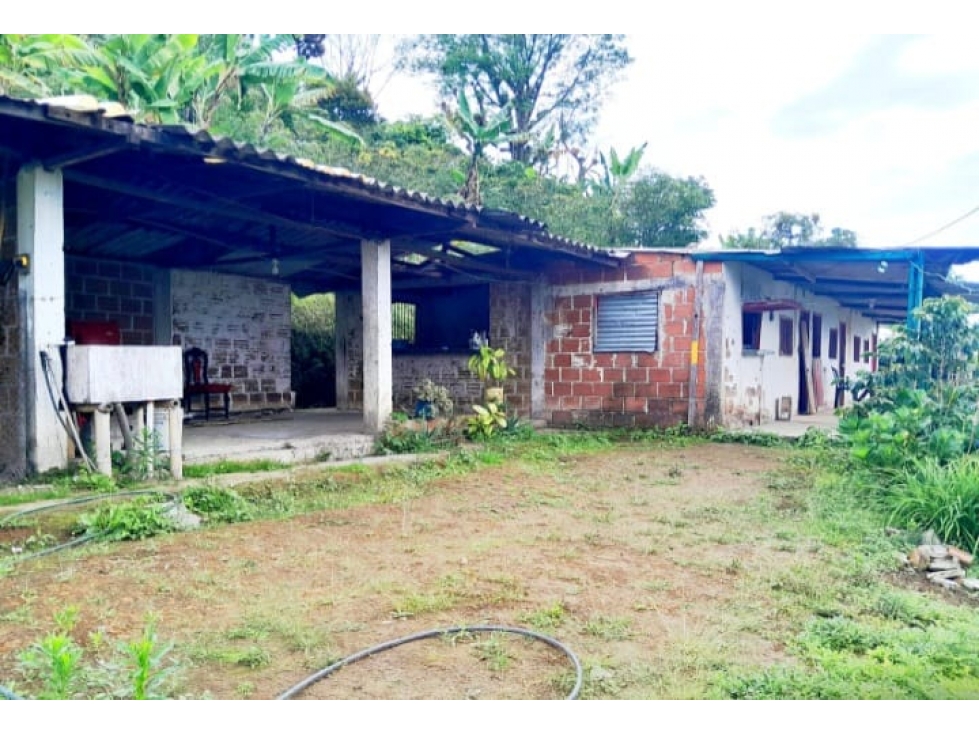 VENTA CASA FINCA PEREIRA DOSQUEBRADAS COLOMBIA 3207746921 — foto 4
